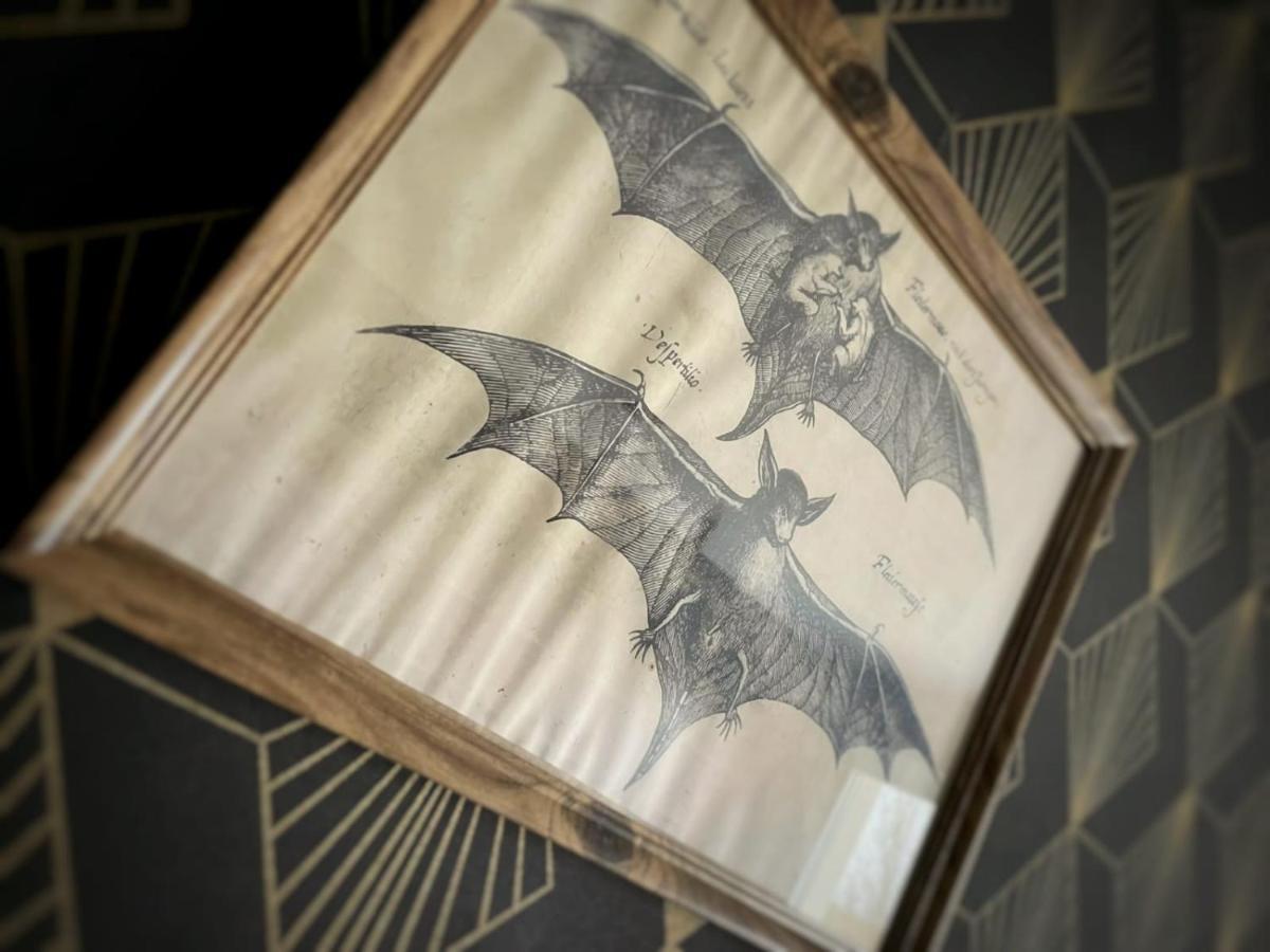 New - Bat'Appart - Dijon - Insolite Longvic Extérieur photo
